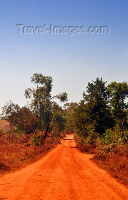 burundi79: Rutana province, Burundi: African dirt road - photo by M.Torres - (c) Travel-Images.com - Stock Photography agency - Image Bank