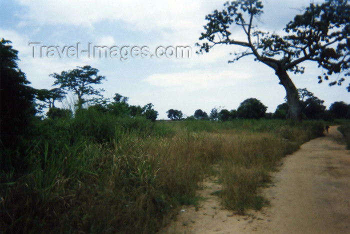 cabinda15: Cabinda: rural road / estrada rural (photo by FLEC) - (c) Travel-Images.com - Stock Photography agency - Image Bank