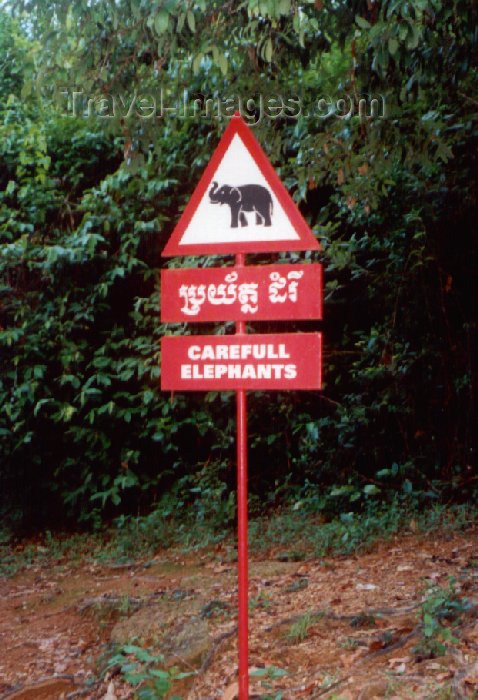 cambodia47: Angkor, Cambodia / Cambodge: Phnom Bakeng - 'careful elephants'!  - photo by Miguel Torres - (c) Travel-Images.com - Stock Photography agency - Image Bank