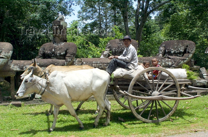 cambodia98: Angkor, Cambodia / Cambodge: Angkor Thom - a farmer, using a traditional ox cart, transports produce and his youngsters past ancient carvings near the South Gate - photo by R.Eime - (c) Travel-Images.com - Stock Photography agency - Image Bank