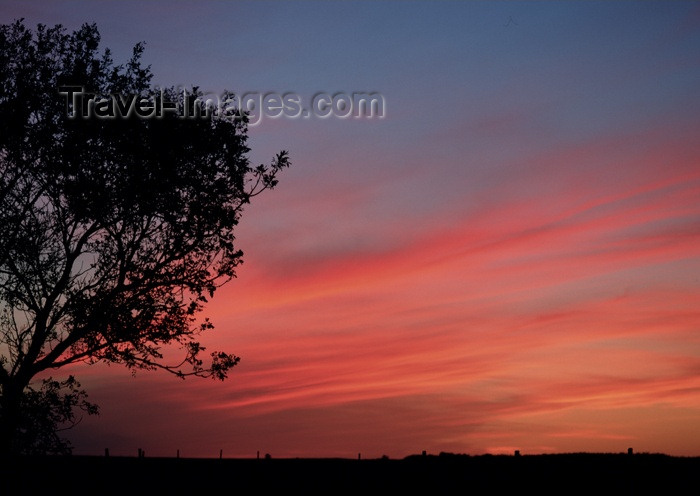 canada108: Canada / Kanada - Saskatchewan: silhouette of a tree - beautiful red, blue, orange sunset - photo by M.Duffy - (c) Travel-Images.com - Stock Photography agency - Image Bank