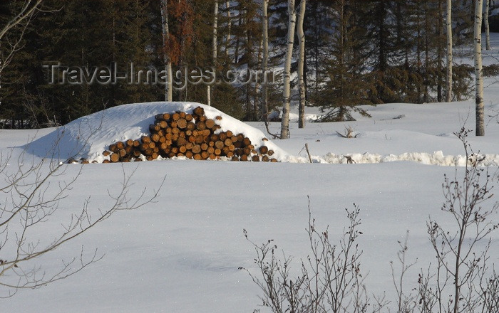 canada109: Canada / Kanada - Saskatchewan: pile of logs covered in snow - photo by M.Duffy - (c) Travel-Images.com - Stock Photography agency - Image Bank