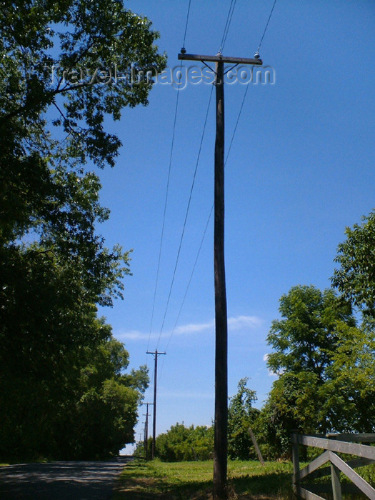 canada131: Canada / Kanada - Fonthill - Niagara Region, Ontario: telephone poles - photo by R.Grove - (c) Travel-Images.com - Stock Photography agency - Image Bank