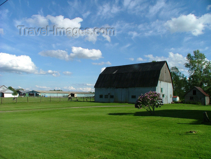 canada134: Canada / Kanada - Pelham / Fenwick area, Ontario: barn - farm - rural setting - photo by R.Grove - (c) Travel-Images.com - Stock Photography agency - Image Bank