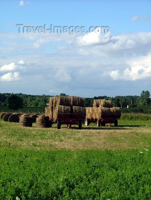 canada136: Pelham/Fenwick, Ontario, Canada / Kanada: after the harvest - round hay bales ready for transportation - photo by R.Grove - (c) Travel-Images.com - Stock Photography agency - Image Bank