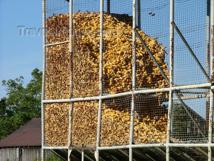 canada137: Wainfleet, Ontario, Canada / Kanada: corn storage - agriculture - photo by R.Grove - (c) Travel-Images.com - Stock Photography agency - Image Bank