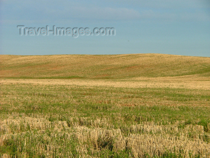 canada138: Pelham/Fenwick, Ontario, Canada / Kanada: in the fields - photo by R.Grove - (c) Travel-Images.com - Stock Photography agency - Image Bank