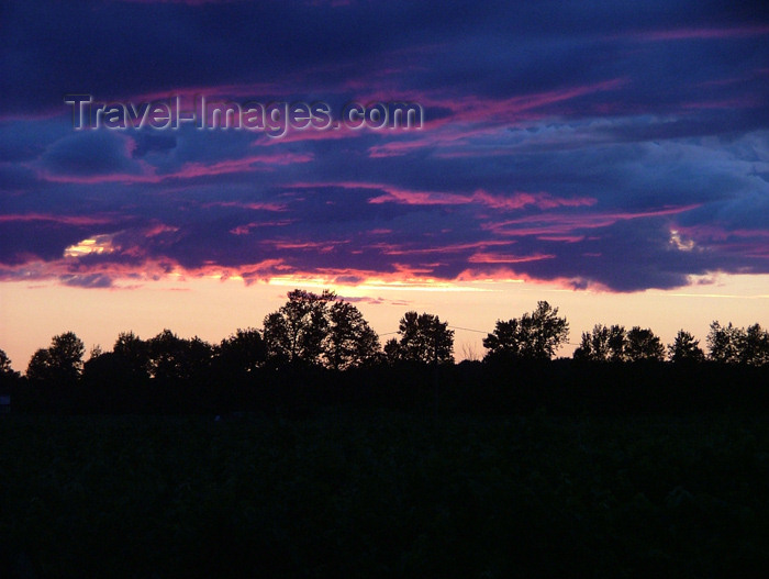 canada159: Canada / Kanada - Beamsville area, Ontario: dusk - silhouettes in the forest - photo by R.Grove - (c) Travel-Images.com - Stock Photography agency - Image Bank