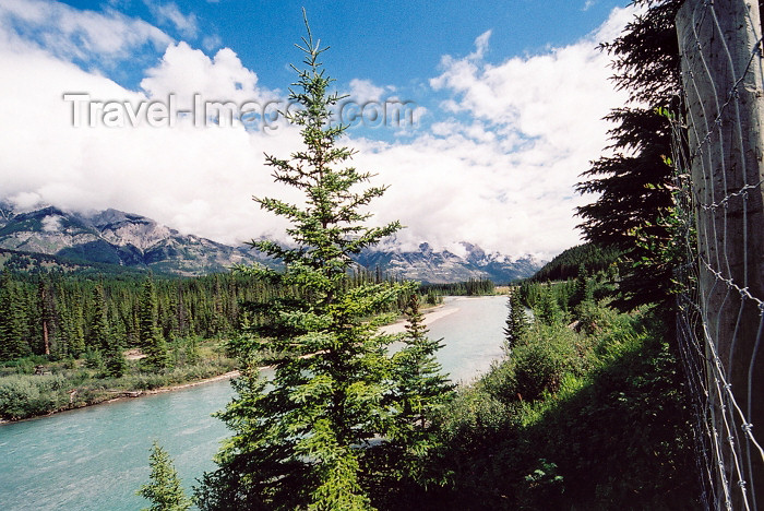 canada196: Canada / Kanada - Canmore (Alberta): following the Bow river - photo by M.Torres - (c) Travel-Images.com - Stock Photography agency - Image Bank