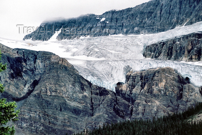 canada200: Canada / Kanada - Icefields Park (Alberta): a glacier - photo by M.Torres - (c) Travel-Images.com - Stock Photography agency - Image Bank