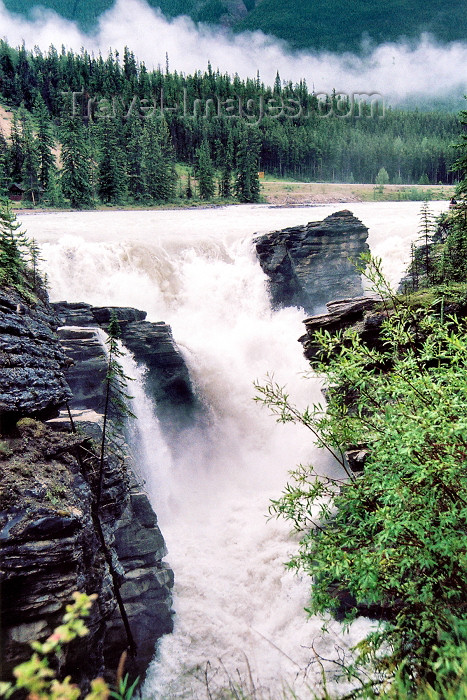 canada203: Canada / Kanada - Jasper National Park (Alberta): Athabasca falls - photo by M.Torres - (c) Travel-Images.com - Stock Photography agency - Image Bank