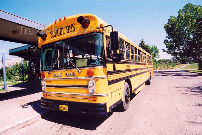 canada251: Canada / Kanada - Calgary, Alberta: Blue Bird school bus at Fort Calgary Historic Park - photo by M.Torres - (c) Travel-Images.com - Stock Photography agency - Image Bank