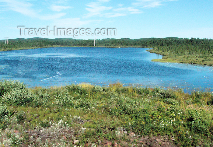 canada343: Canada / Kanada - Burin Peninsula, Newfoundland: lake and forest - photo by B.Cloutier - (c) Travel-Images.com - Stock Photography agency - Image Bank