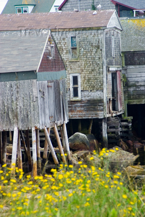 canada380: Old wooden house on stilts at low tide near Peggy's Cove, Nova Scotia, Canada - photo by D.Smith - (c) Travel-Images.com - Stock Photography agency - Image Bank