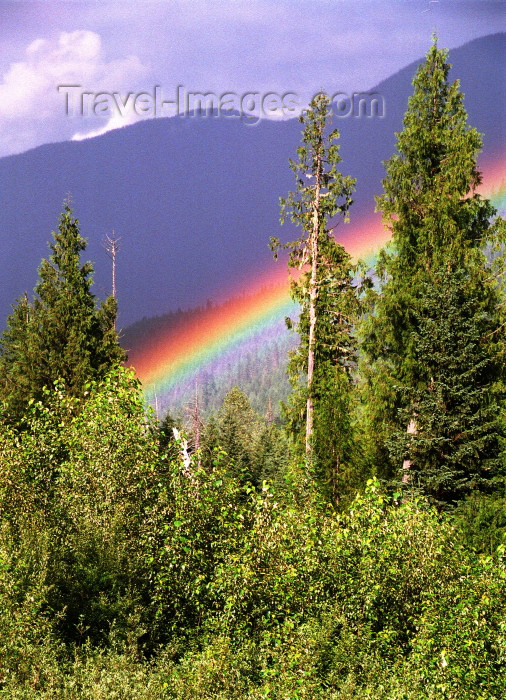 canada396: Canada / Kanada - BC: forest and rainbow - photo by G.Friedman - (c) Travel-Images.com - Stock Photography agency - Image Bank