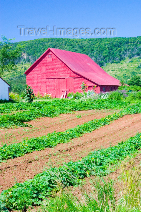 canada401: Scenic View of reed barn in the Annapolis Valley, Nova Scotia, Canada - photo by D.Smith - (c) Travel-Images.com - Stock Photography agency - Image Bank