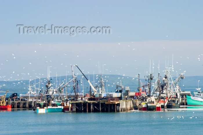 canada414: Scenic view of the commercial fishing pier in Digby, Nova Scotia, 