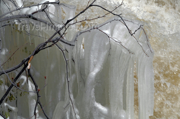 canada460: Canada / Kanada - North Bay, Ontario: the branches of this tree were wearing an ice coat during the spring run off at Duchesney Creek - photo by C.McEachern - (c) Travel-Images.com - Stock Photography agency - Image Bank