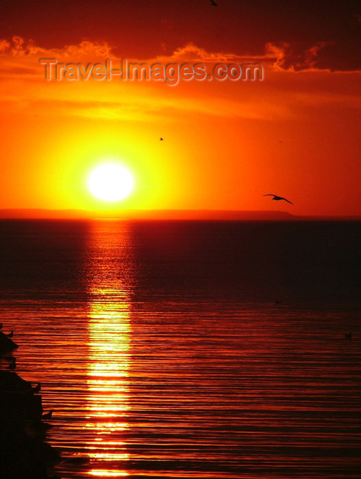canada472: Canada - Ontario - Lake Ontario: sunset - photo by R.Grove - (c) Travel-Images.com - Stock Photography agency - Image Bank