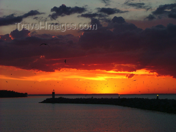 canada473: Canada - Ontario - Lake Ontario: sunset, pier and seaguls - photo by R.Grove - (c) Travel-Images.com - Stock Photography agency - Image Bank