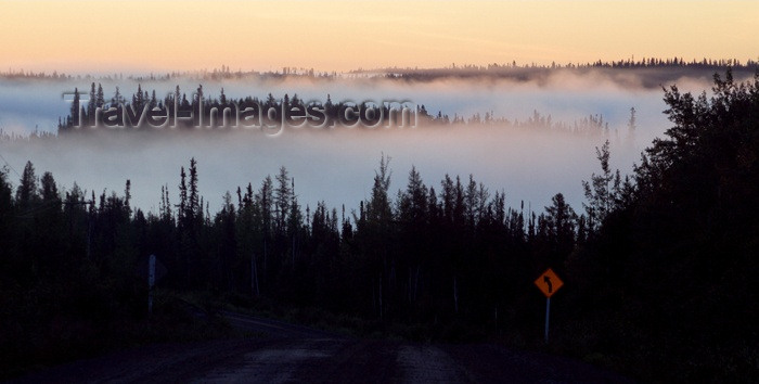 canada62: Canada / Kanada - Saskatchewan: mist over the trees - sunrise - photo by M.Duffy - (c) Travel-Images.com - Stock Photography agency - Image Bank