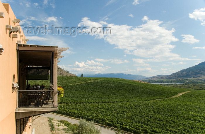 canada646: Okanagan Valley, BC, Canada: scenic view at the Burrowing Owl Vineyards - rolling hills - photo by D.Smith - (c) Travel-Images.com - Stock Photography agency - Image Bank