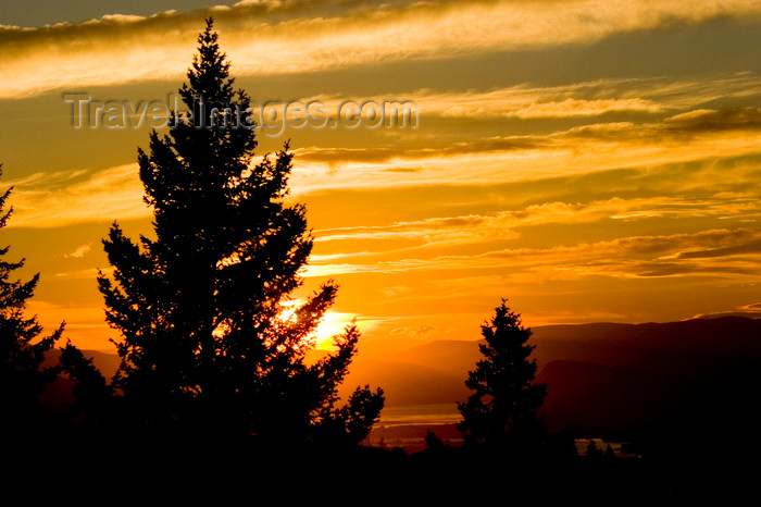 canada649: Vallerview, BC, Canada: Scenic trees at sunset near Kamloops - BC Interior - photo by D.Smith - (c) Travel-Images.com - Stock Photography agency - Image Bank