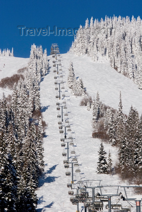 canada651: Kamloops, BC, Canada: Sun Peaks skiing resort - chairlifts, ski slopes, snow, trees, mountains and blue sky - Tod Mountain - photo by D.Smith - (c) Travel-Images.com - Stock Photography agency - Image Bank