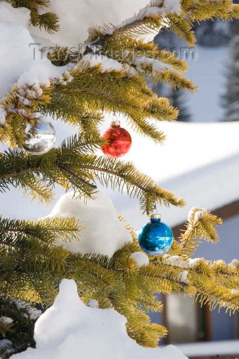 canada657: Kamloops, BC, Canada: Christmas Tree ornaments and snow - Sun Peaks ski resort - photo by D.Smith - (c) Travel-Images.com - Stock Photography agency - Image Bank