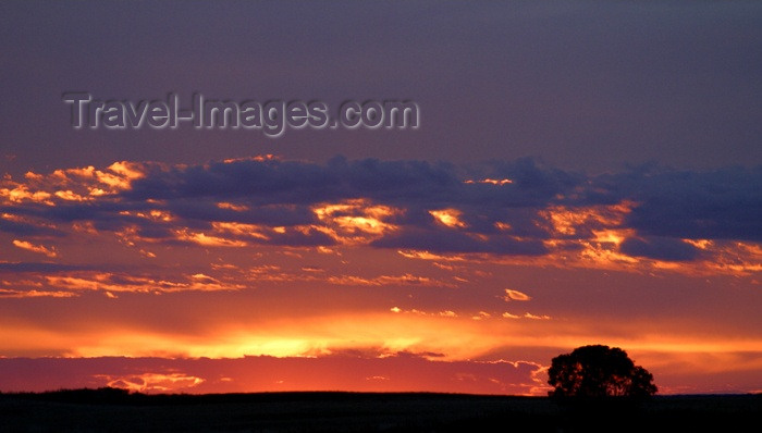 canada74: Canada / Kanada - Saskatchewan: fiery red and orange colors - beautiful sunrise in the autumn - photo by M.Duffy - (c) Travel-Images.com - Stock Photography agency - Image Bank