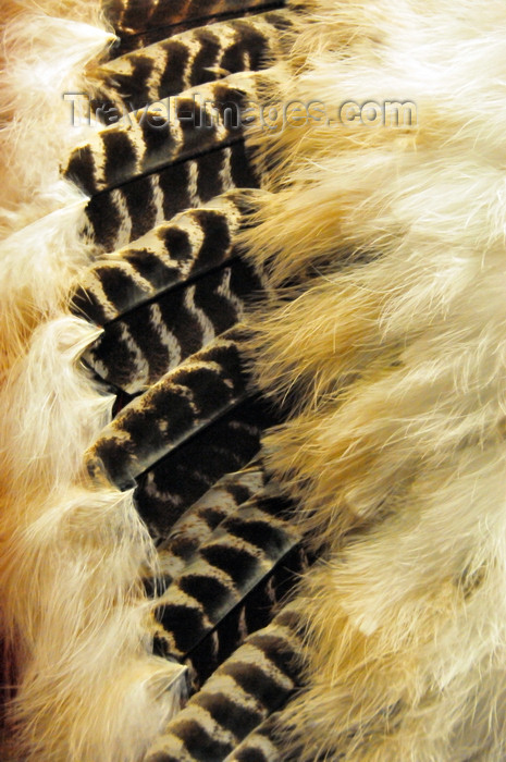 canada754: Winnipeg, Manitoba, Canada: Indian feather warbonnet - First Nation headgear - photo by M.Torres - (c) Travel-Images.com - Stock Photography agency - Image Bank