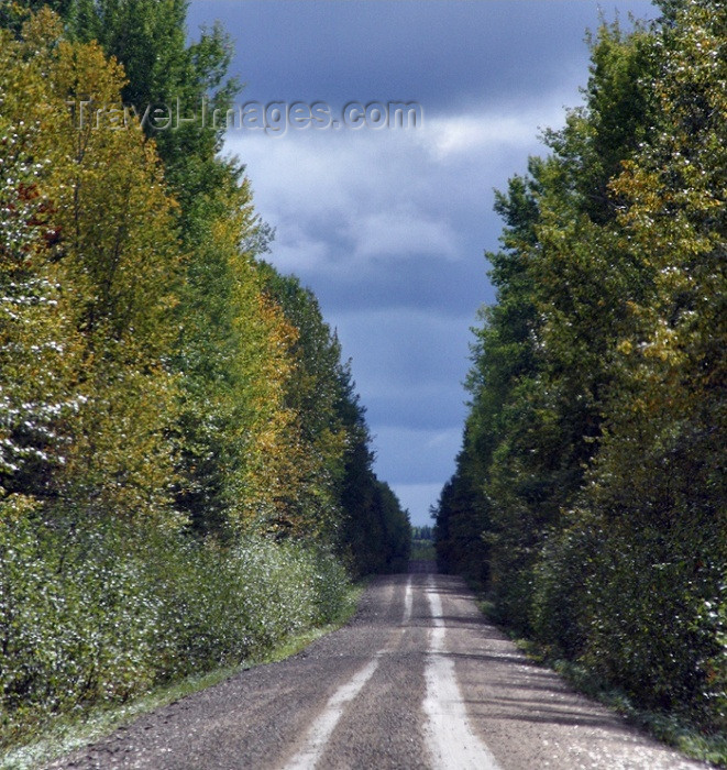 canada79: Canada / Kanada - Saskatchewan: secluded dirt road in Northern Saskatchewan used for lumbering industry - photo by M.Duffy - (c) Travel-Images.com - Stock Photography agency - Image Bank