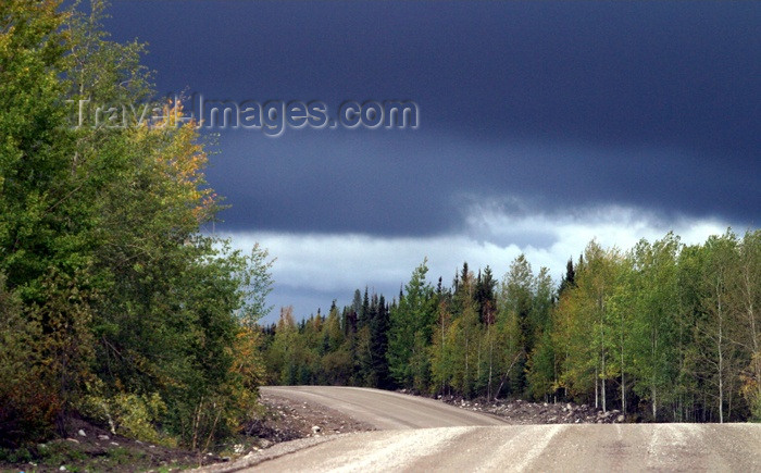 canada81: Canada / Kanada - Saskatchewan: secluded dirt road in Northern Saskatchewan used for lumbering industry - photo by M.Duffy - (c) Travel-Images.com - Stock Photography agency - Image Bank