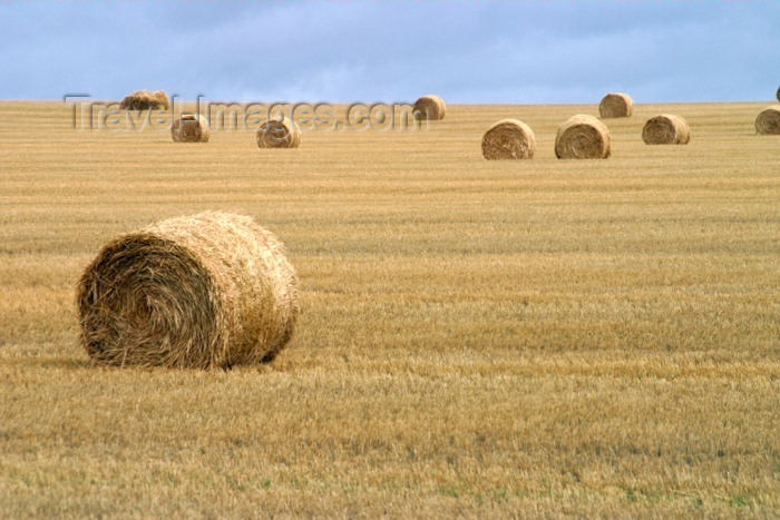 canada84: Canada / Kanada - Saskatchewan: hay bales in the field - photo by M.Duffy - (c) Travel-Images.com - Stock Photography agency - Image Bank