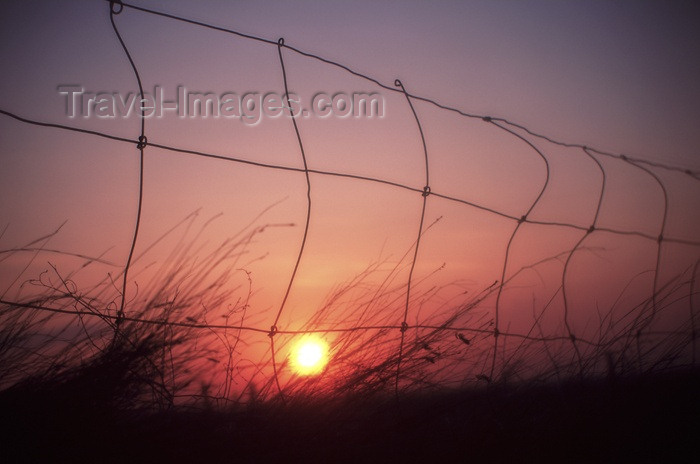 canada89: Canada / Kanada - Saskatchewan: colorful sunset seen through a fence - photo by M.Duffy - (c) Travel-Images.com - Stock Photography agency - Image Bank