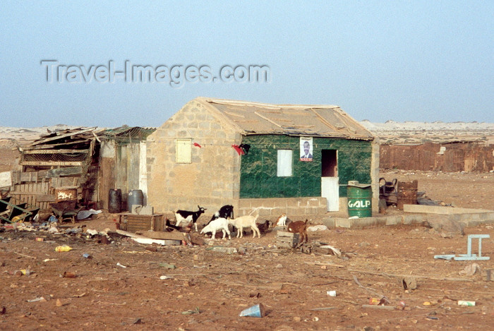 capeverde25: Cape Verde / Cabo Verde - Santa Maria, Sal island: 'suburbia' - suburbios - photo by M.Torres - (c) Travel-Images.com - Stock Photography agency - Image Bank