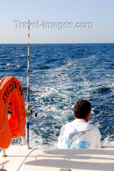 capeverde50: Sal island / Ilha do Sal - Cape Verde / Cabo Verde: fishing in Cape Verdian waters - Marlin t-shirt - photo by E.Petitalot - (c) Travel-Images.com - Stock Photography agency - Image Bank