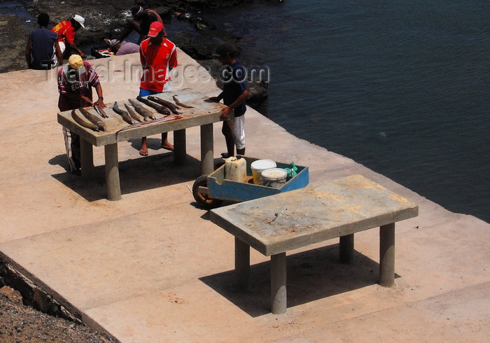 capeverde89: S. Maria, Sal island, Cape Verde / Cabo Verde: fishermen prepare moray eels - pescadores arranjam moreias - photo by R.Resende - (c) Travel-Images.com - Stock Photography agency - Image Bank