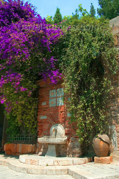 catalon123: Tarragona, Catalonia: fountain surrounded by vegetation - old city - photo by B.Henry - (c) Travel-Images.com - Stock Photography agency - Image Bank