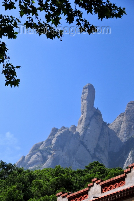 catalon7: Montserrat, Catalonia: forest and 'El Cavall Bernat' pinnacle in the Montserrat mountain range - photo by M.Torres - (c) Travel-Images.com - Stock Photography agency - Image Bank