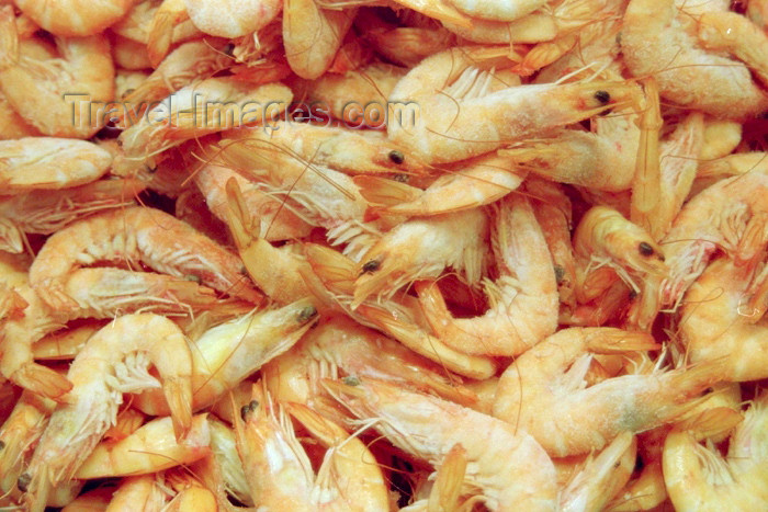 catalon74: Catalonia - Barcelona: shrimps at Mercat St. Josep - photo by M.Bergsma - (c) Travel-Images.com - Stock Photography agency - Image Bank