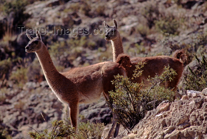 (c) Travel-Images.com - Stock Photography agency - the Global Image Bank