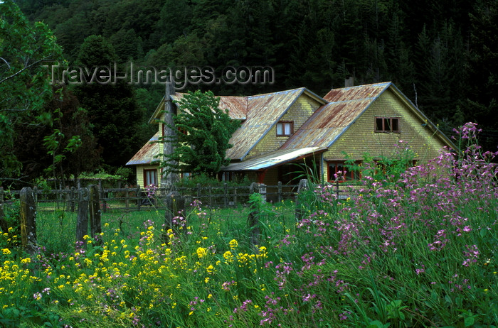 chile156: Puesco, Araucanía Region, Chile: wildflowers and ranch house - Lake District of Chile - photo by C.Lovell - (c) Travel-Images.com - Stock Photography agency - Image Bank