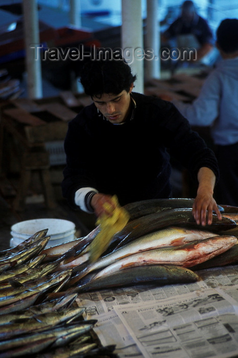 chile18: Valdivia, Los Ríos, Chile: fisherman display their catch at the Feria Fluvial, the local fish and vegetable market - fresh fish - photo by C.Lovell - (c) Travel-Images.com - Stock Photography agency - Image Bank