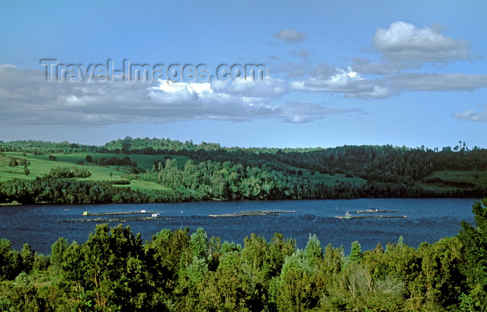 chile193: Chiloé island, Los Lagos Region, Chile: salmon farming in an inlet – mariculture cages - fish industry - undulating hills - photo by C.Lovell - (c) Travel-Images.com - Stock Photography agency - Image Bank