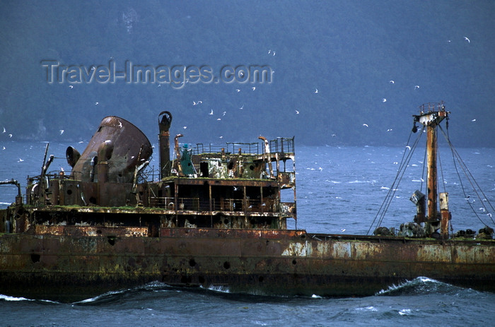 chile212: Corcovado Gulf, Los Lagos Region, Chile: wreck – half sunken ship and flying terns, en route from Puerto Montt to Puerto Natales - Patagonia - photo by C.Lovell - (c) Travel-Images.com - Stock Photography agency - Image Bank