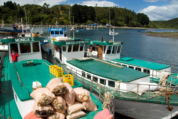 chile66: Puerto Montt, Llanquihue Province, Los Lagos Region, Chile: boats at the Fishing harbour - Reloncaví Sound - Angelmó - photo by D.Smith - (c) Travel-Images.com - Stock Photography agency - Image Bank