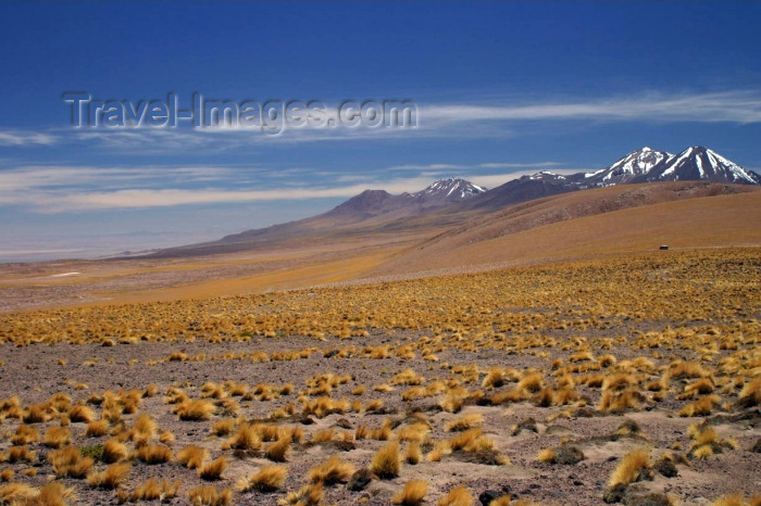 chile68: Chile - Atacama Desert/ deserto de Atacama: view from Laguna altiplánica - snow on the peaks - photo by N.Cabana - (c) Travel-Images.com - Stock Photography agency - Image Bank