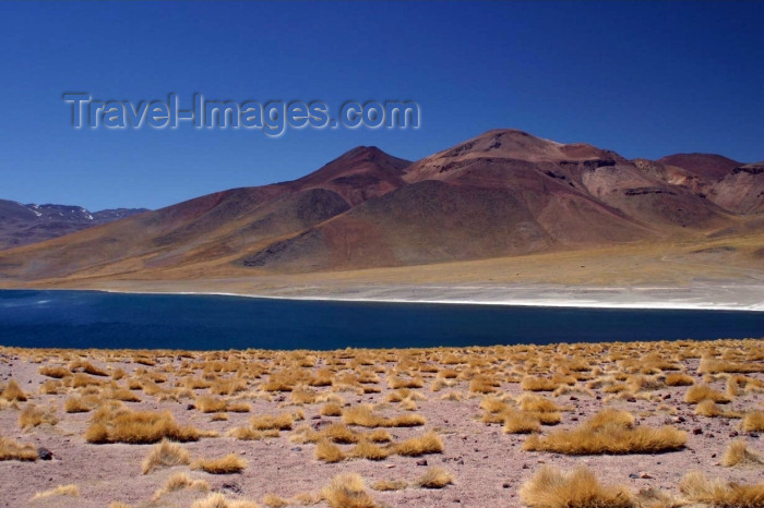 chile69: Chile - Atacama Desert/ deserto de Atacama:  lagoon - Laguna altiplánica - photo by N.Cabana - (c) Travel-Images.com - Stock Photography agency - Image Bank