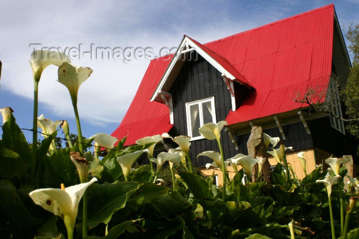 chile92: Valdivia, Los Rios, Chile: red roof cottage - photo by N.Cabana - (c) Travel-Images.com - Stock Photography agency - Image Bank